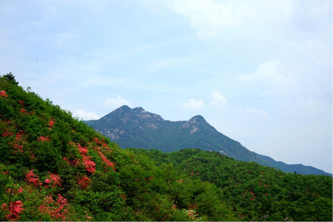 古井園國家級自然保護區(qū)風(fēng)光。岳西縣委宣傳部供圖
