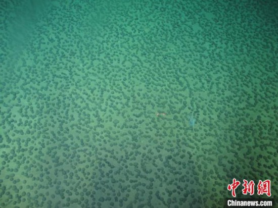 本航次科考探查的多金屬結(jié)核。中國科學(xué)院深海所/供圖
