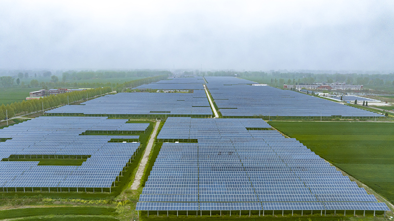 位于渦陽縣臨湖鎮(zhèn)的光伏發(fā)電。渦陽縣委宣傳部供圖.jpg